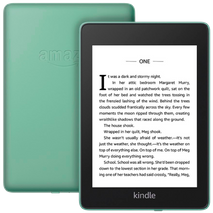 Amazon Kindle Paperwhite 2018 32 GB Зелёный