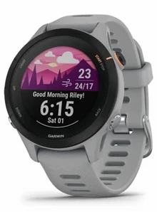 Garmin Forerunner 255S Светло-серый/чёрный