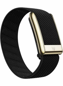 Плетеный люксовый ремешок для Whoop 5.0 SuperKnit Band Obsidian with Gold