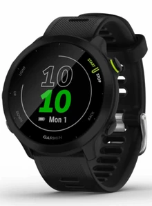 Garmin Forerunner 55 Чёрный