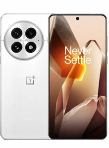 OnePlus 13 12GB/256GB китайская версия, Белый