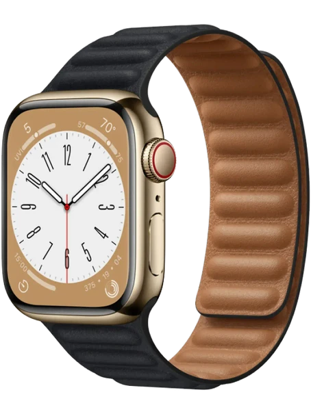 Apple Watch 8 41 мм Сталь, Кожа, Золотой, Тёмно-серый