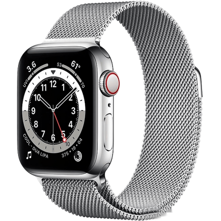Apple Watch Series 6 LTE 44 мм Сталь серебристый / Миланский серебристый M09E3