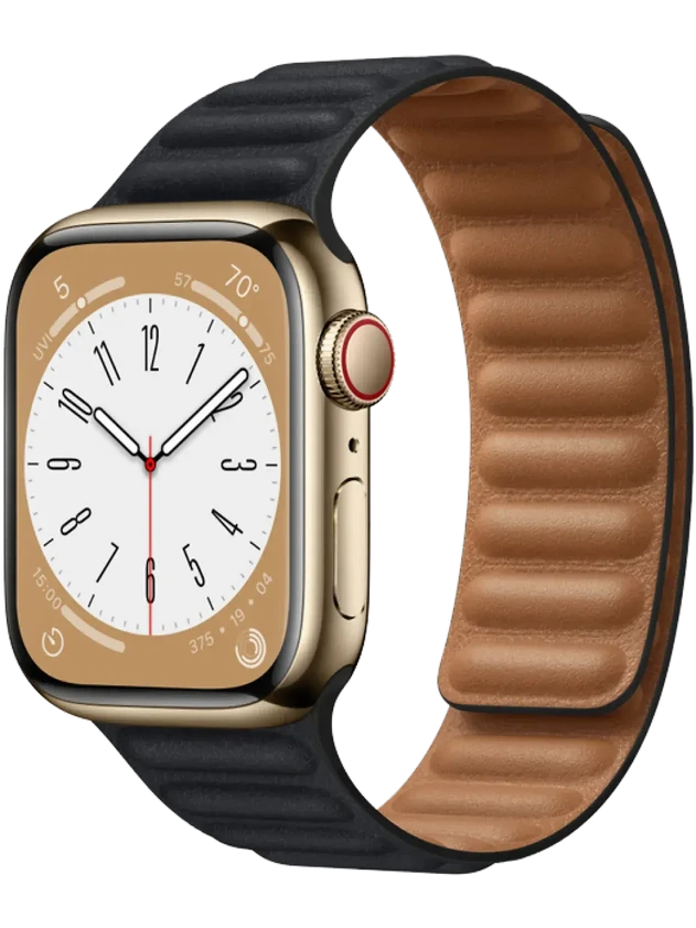 Apple Watch 8 41 мм Сталь, Кожа, Золотой, Тёмно-серый
