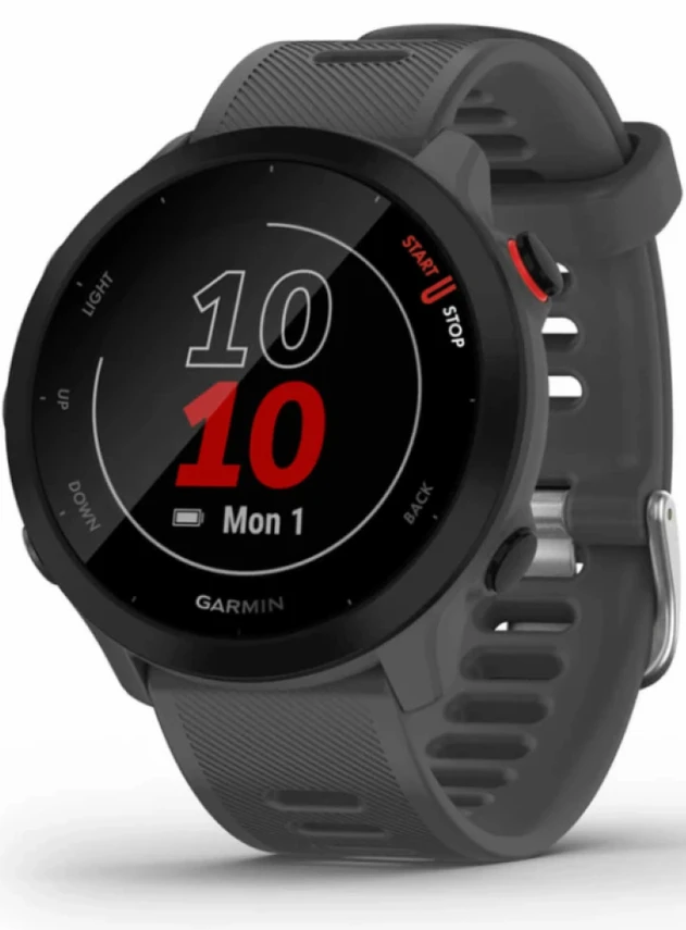 Garmin Forerunner 55 Серый