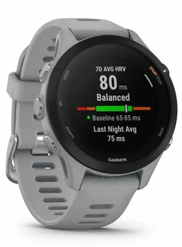 Garmin Forerunner 255S Светло-серый/чёрный