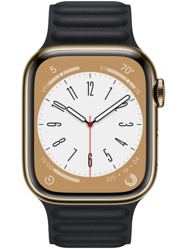 Apple Watch 8 41 мм Сталь, Кожа, Золотой, Тёмно-серый