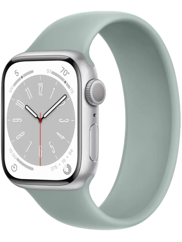 Apple Watch 8 41 мм Алюминий, Силикон, Серебристый, Суккулент