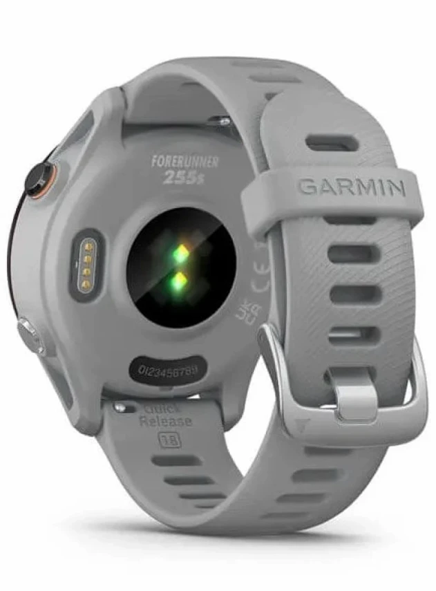 Garmin Forerunner 255S Светло-серый/чёрный