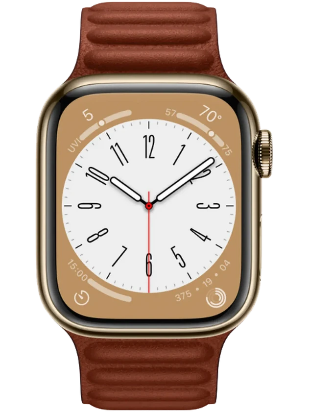 Apple Watch 8 41 мм Сталь, Кожа, Золотой, Тёмно-коричневый