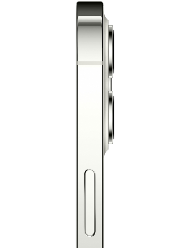 Apple iPhone 12 Pro 256 GB Silver