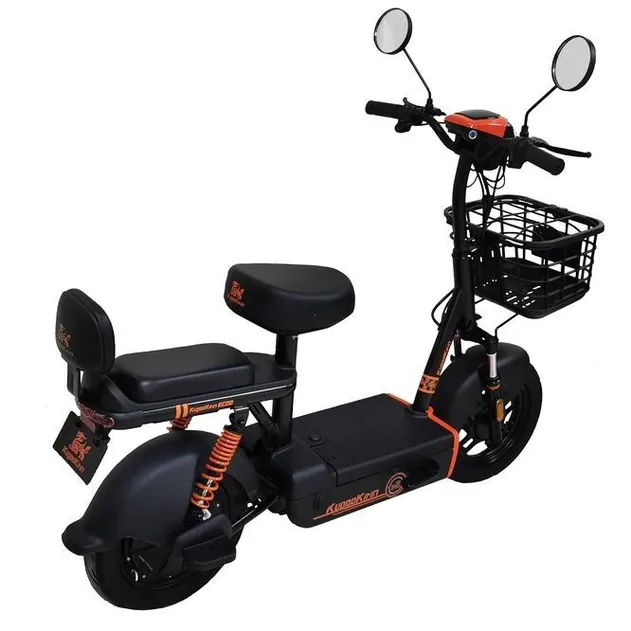 Электроcамокат Kugoo EC02 48V 21Ah 500W
