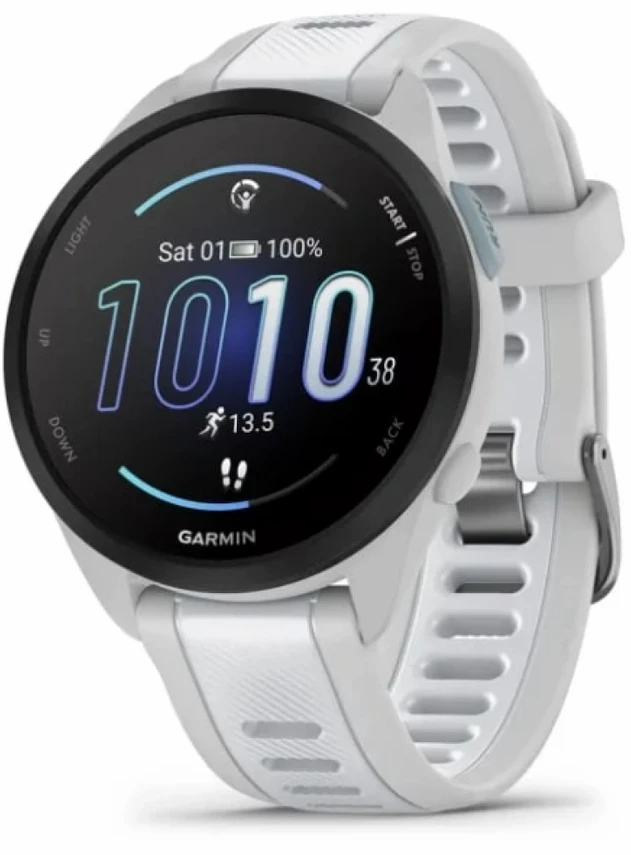 Garmin Forerunner 165 Music Туманно-серый/белый камень