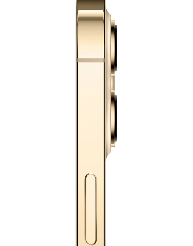 Apple iPhone 12 Pro Max 256 GB Gold