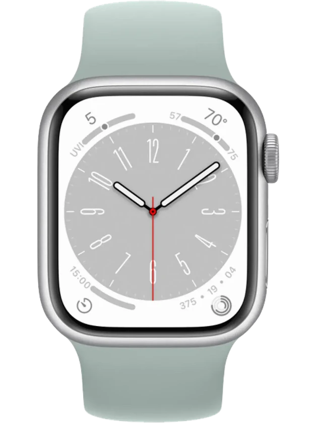 Apple Watch 8 41 мм Алюминий, Силикон, Серебристый, Суккулент
