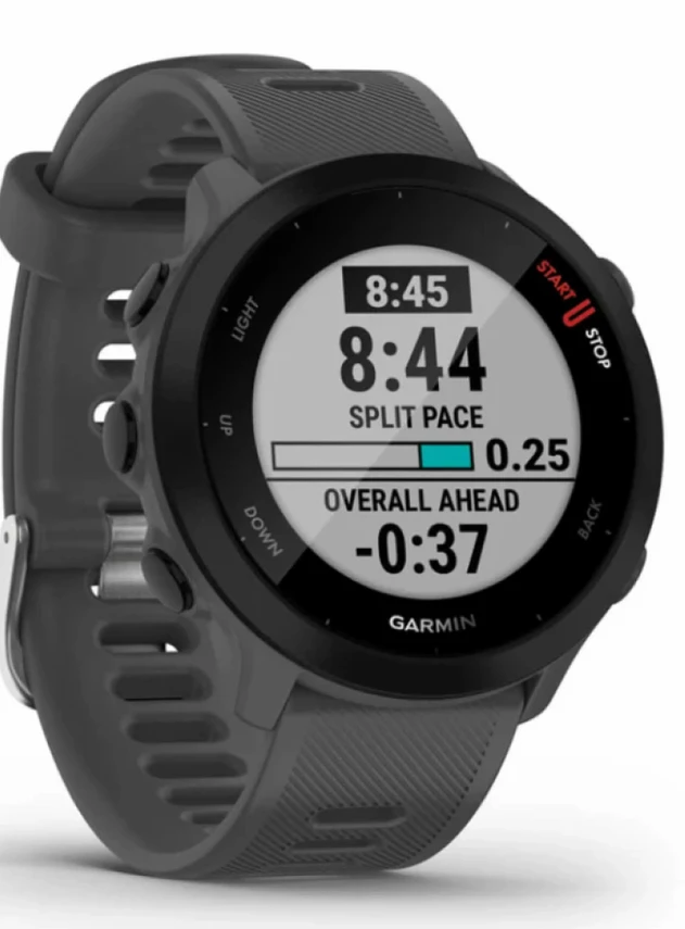 Garmin Forerunner 55 Серый