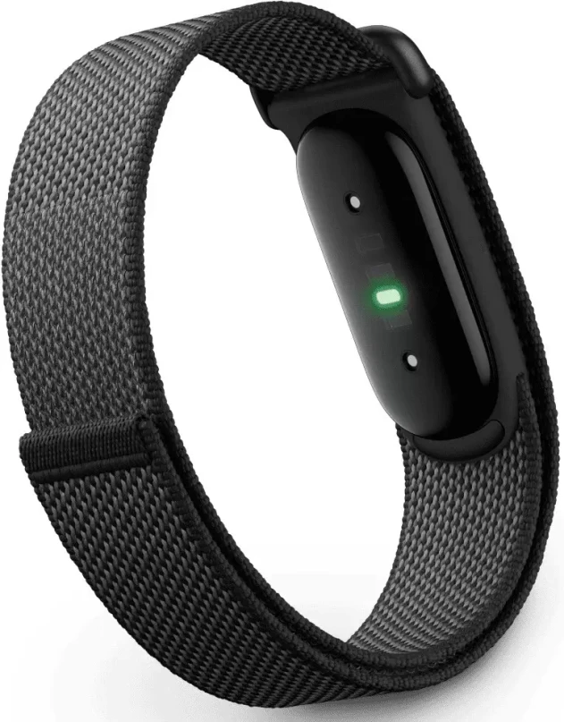 Fitbit Air Obsidian (черный)