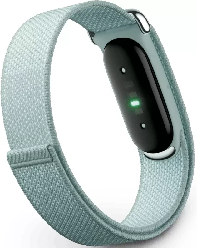 Fitbit Air Fog (туманный) Fitbit Air Fog (туманный)