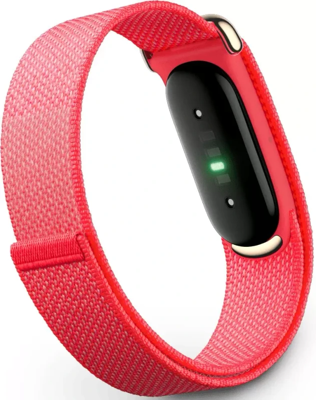 Fitbit Air Berry (ягодный) Fitbit Air Berry (ягодный)