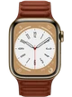Apple Watch 8 41 мм Сталь, Кожа, Золотой, Тёмно-коричневый