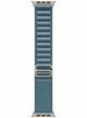 Apple Watch Ultra 3 49 мм Natural Titanium Light Blue Alpine Loop