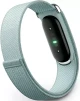 Fitbit Air Fog (туманный) Fitbit Air Fog (туманный)