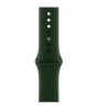 Apple Watch Series 6 LTE 40 мм Сталь золотистый / Зелёный спортивный M06V3