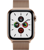 Apple Watch Series 5 LTE 44 мм Сталь золотистый/Миланский золотой MWW62
