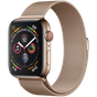 Apple Watch Series 4 LTE 40 мм Сталь золотистый/Миланский золотой MTUT2