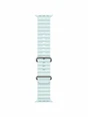 Watch Ultra 2, 49 mm, Natural, Ocean Band, Ice Blue